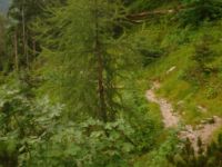 2014-08-02_06FritzPflaum-Steig (385).JPG